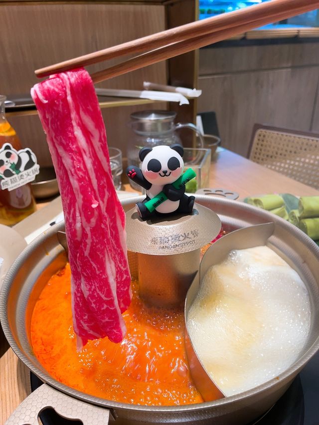 ｛深圳打卡熊貓主題火鍋探店｝