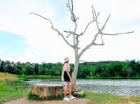 อ่างเก็บน้ำสายศร เขาใหญ่