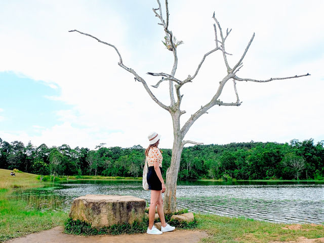 อ่างเก็บน้ำสายศร เขาใหญ่
