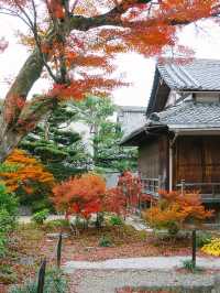 京都景點｜嵐山精緻的賞楓名所——寶筐院