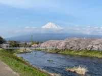 知る人ぞ知る、富士山と桜の名所『龍巌淵』MAPあり！