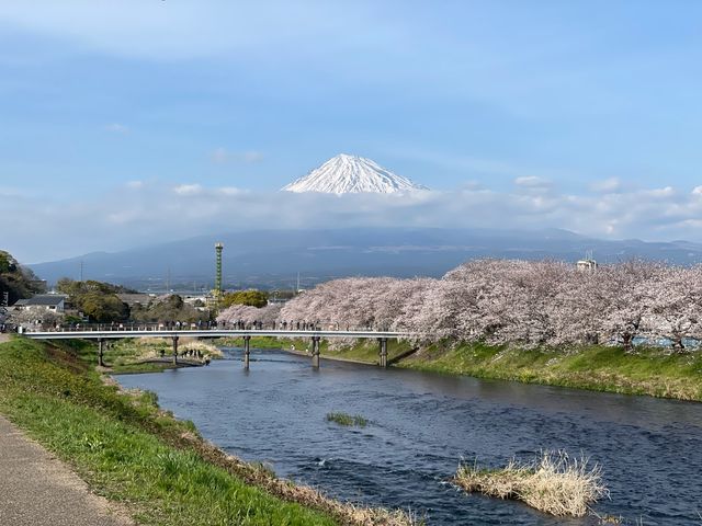 知る人ぞ知る、富士山と桜の名所『龍巌淵』MAPあり！