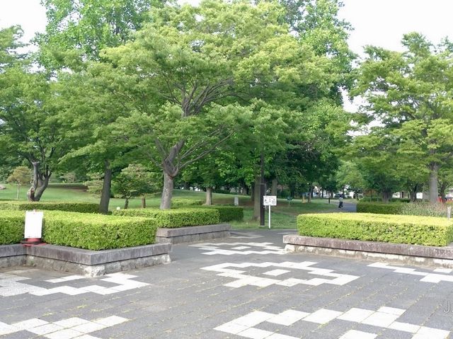 Wakasato Park