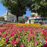Sights and sounds of Ho Chi Minh