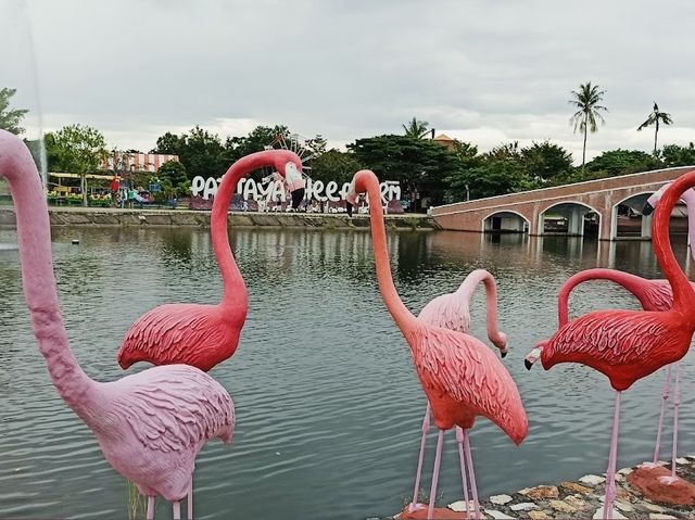 Pattaya Sheep Farm 