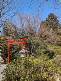 龍安寺の境内の鏡容池(おしどり池)の、水分石(みくまり石)の上には、２羽の鳥が仲良く並んでいた