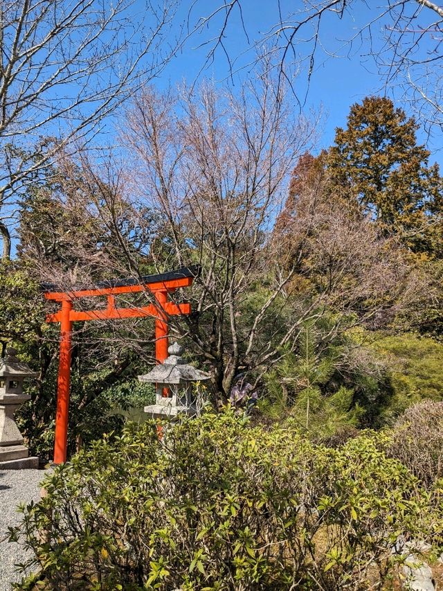 龍安寺の境内の鏡容池(おしどり池)の、水分石(みくまり石)の上には、２羽の鳥が仲良く並んでいた