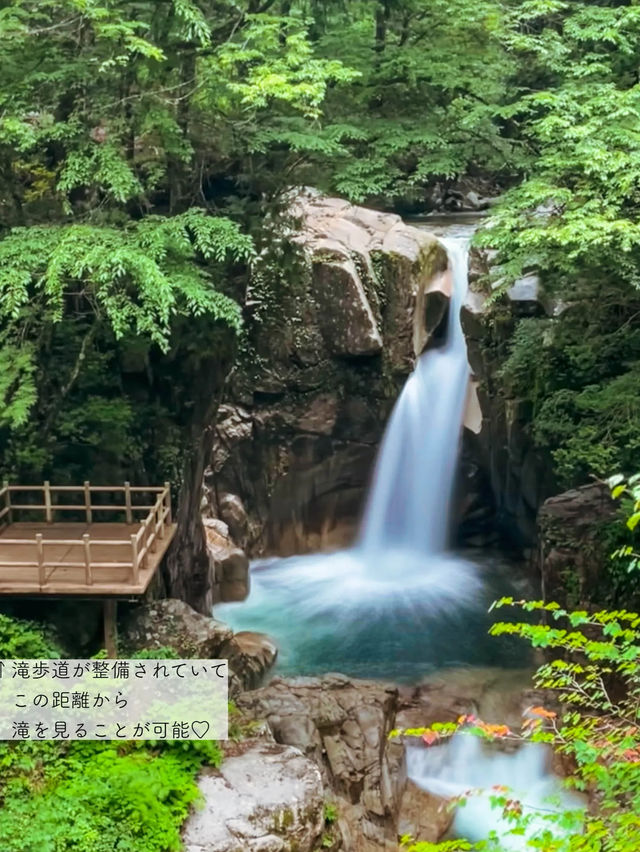 【岐阜】落差12m！エメラルドグリーンの美しい滝