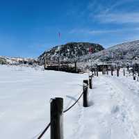 My Solo Jeju Winter Hike and City Trip 