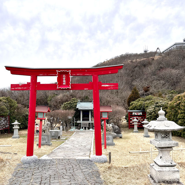 【別府】鶴見岳にある別府ロープウェイからの桜