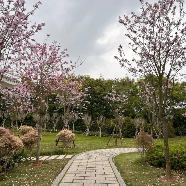 【廈門園區】多品種植物，山頂俯瞰景色