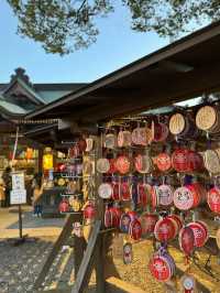 【群馬】勝ちたい時に行きたい!!最強パワースポット!!縁起だるま発祥のお寺