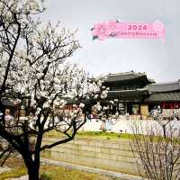 Gyeongbokgung Palace in Korea 