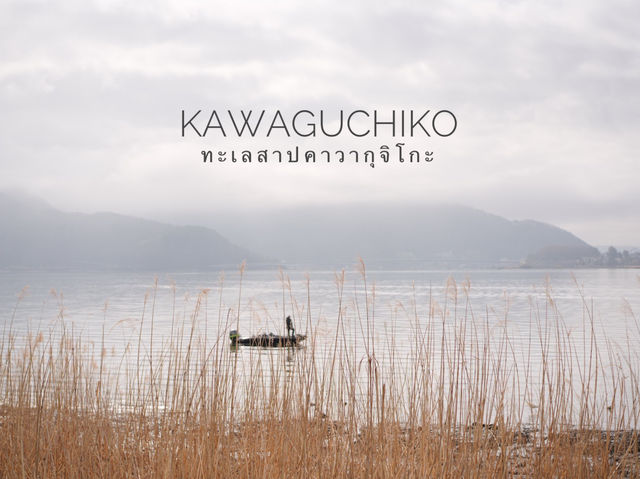 ชมฟูจิ ที่ทะเลสาปคาวากุจิโกะ ญี่ปุ่น