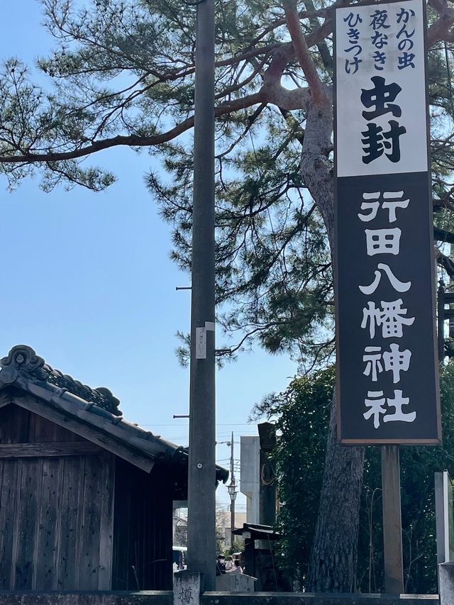 【埼玉県】花手水が美しい行田八幡神社を参拝！