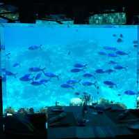 Exclusive resort  with underwater restaurant