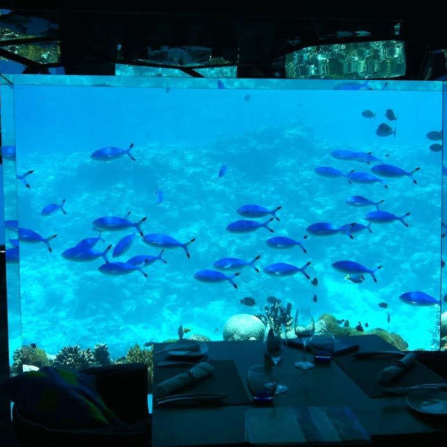 Exclusive resort  with underwater restaurant