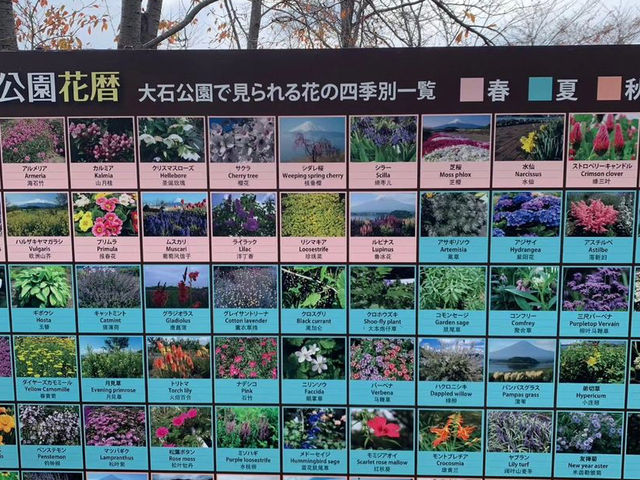 【山梨】大石公園：富士山下的經典景點