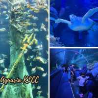Exploring the Wonders of Aquaria KLCC 