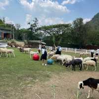 The Scenery Vintage Farm
