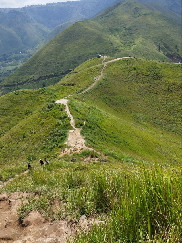 Bukit Holbung