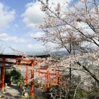 日本九州｜俯瞰浮羽景色的稻荷神社⛩️