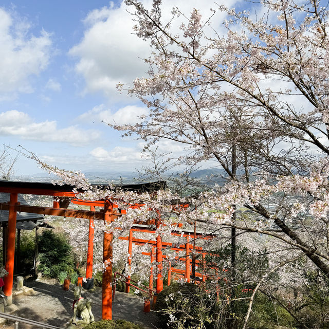 日本九州｜俯瞰浮羽景色的稻荷神社⛩️