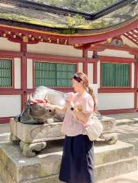 후쿠오카 근교 필수 코스 다자이후 텐만구⛩️