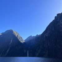 Bucket list experience done✅ Milford sound!!