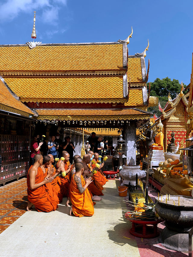 Northern Thailand’s Most Sacred Temple: Wat Phra That Doi Suthep ✨