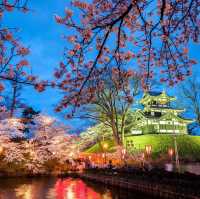 新潟・高田城址公園櫻花