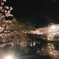 日本一の桜。弘前、行ってみよう！