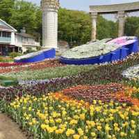 에버랜드 산리오 튤립축제 🌷