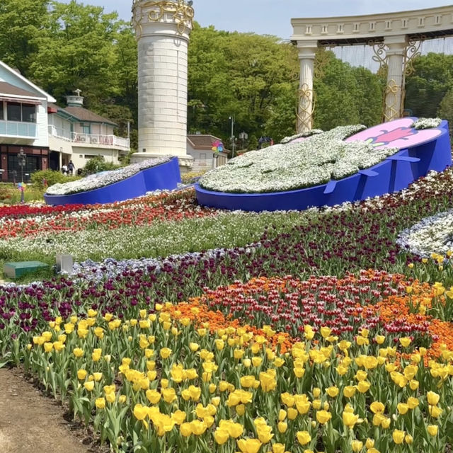 에버랜드 산리오 튤립축제 🌷