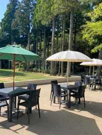 「六甲山牧場」春天好去處，享受大自然與美食的療癒時光