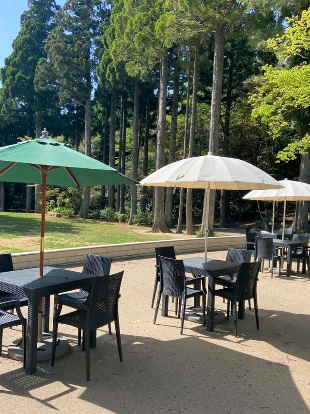 「六甲山牧場」春天好去處，享受大自然與美食的療癒時光