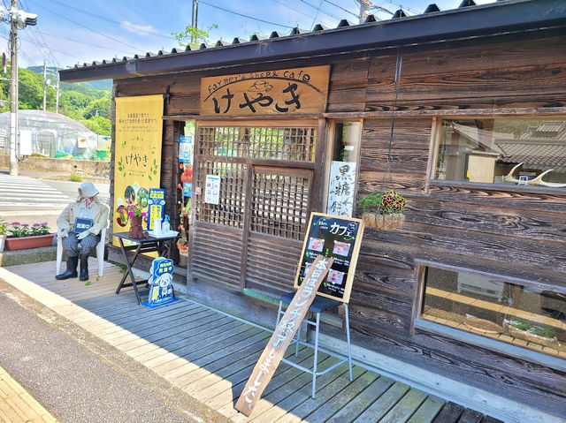 Keyaki ร้านอาหารออร์แกนิค จ.นารา