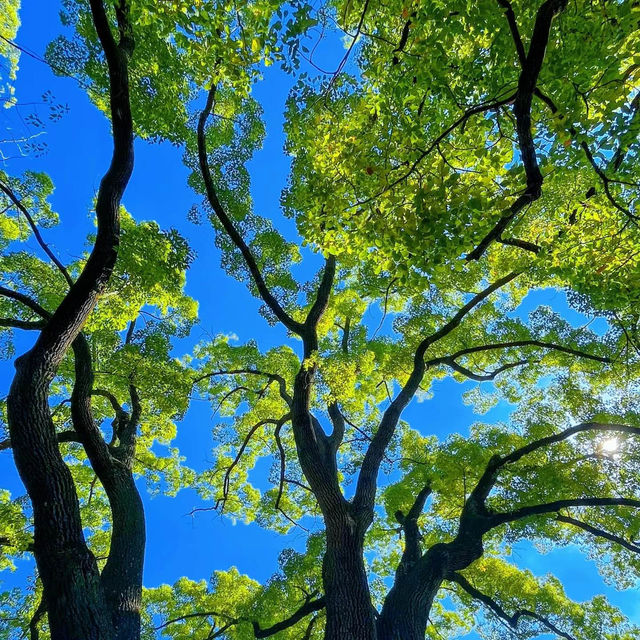 證誠寺～古寺庭園
