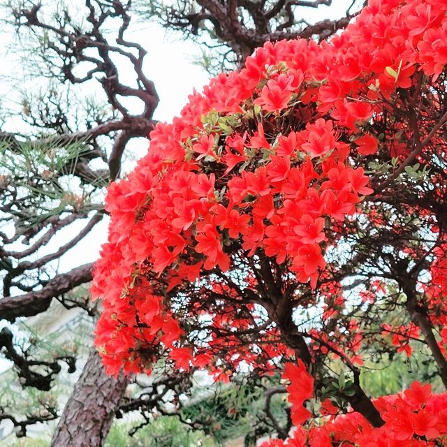 【愛媛県】大洲城