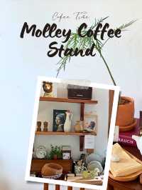 🥤Molley Coffee Stand