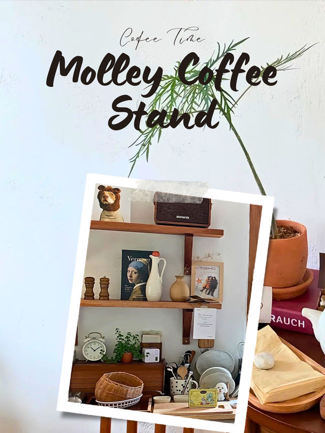 🥤Molley Coffee Stand