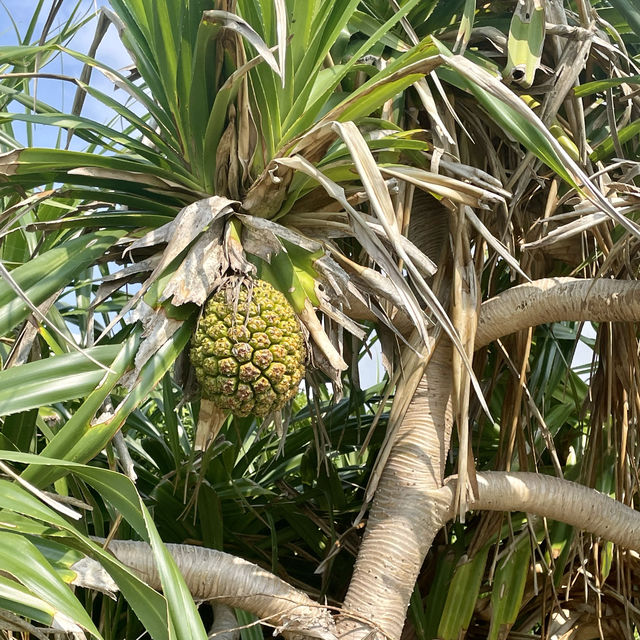 【沖縄観光】絶景スポット