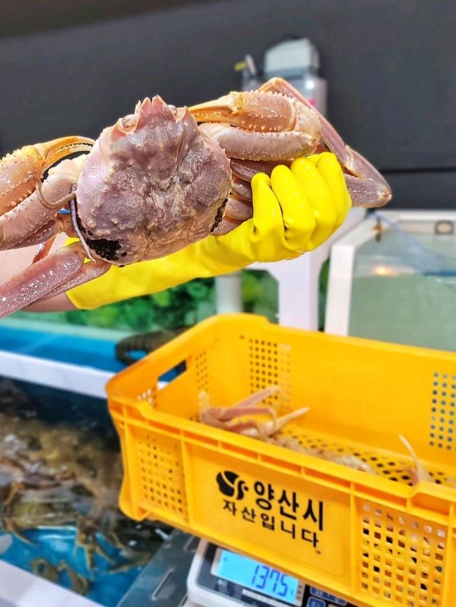 속이 꽉찬 대게찜을 가성비로 즐기는 양산맛집🧡