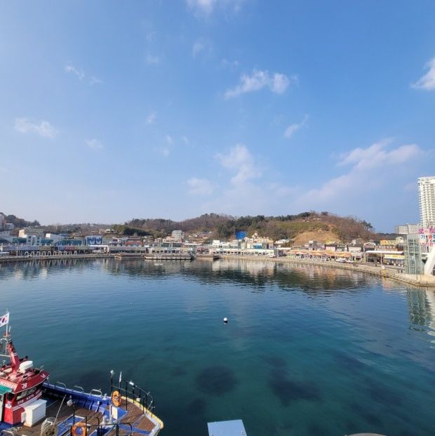 동해안의 나폴리 속초 오션뷰 맛집 대포항🌅🚢