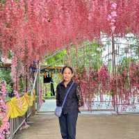 วัดแสงแก้วโพธิญาณ( ครูบาอริยชาติ)