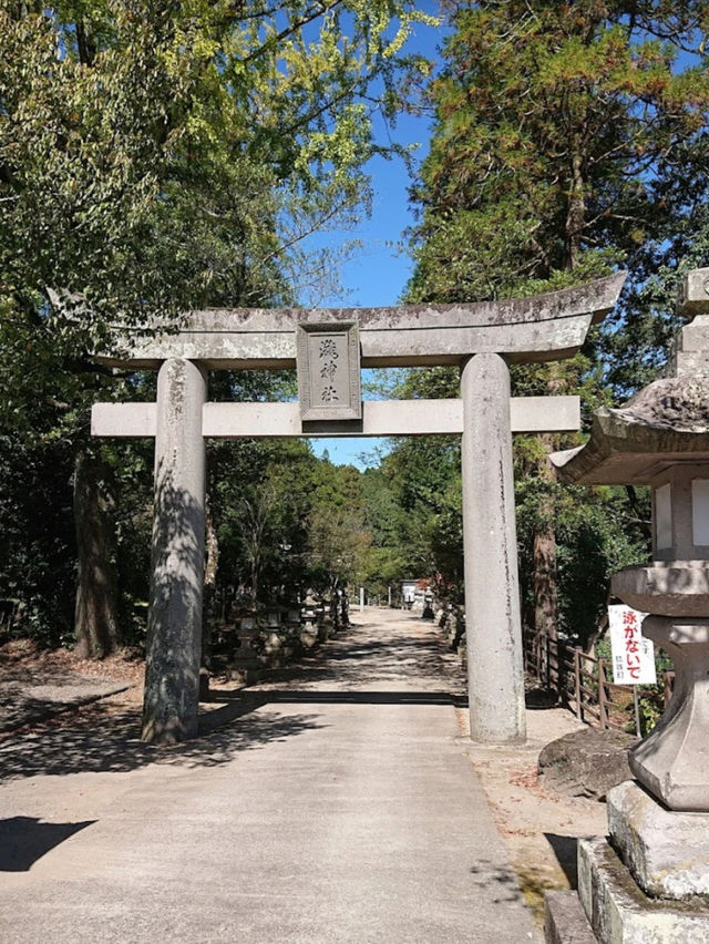 【大分神社】神社の女将さん自らデザインする花手水が美しい