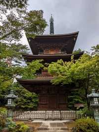 日本東京-來豪德寺帶隻招福貓回家吧！