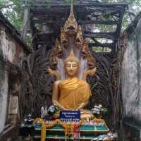 ปราสาทตาพรหมเมืองไทย