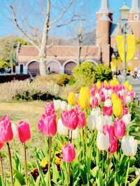 【絶景】まるで春のヨーロッパ🌷100万本のチューリップ祭2024✨️