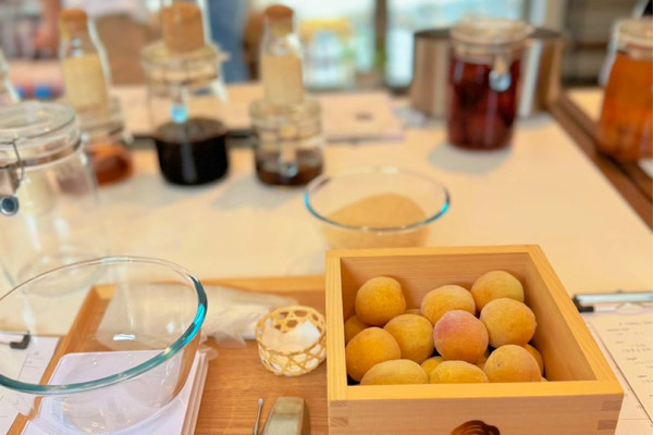 自分だけの梅シロップ&梅酒が作れるワークショップ🫣🥃💚【茨城県